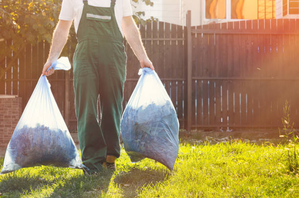 Best Construction Debris Removal  in Lone Pine, CA